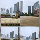 세담초등학교 이미지