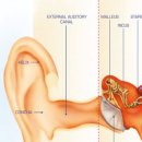 다비치히어링 서초그랑자이아파트앞점 이미지