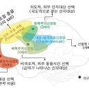 불교명상과 뇌과학 - Sati의 뇌과학적 신경상응 이미지