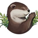 순수건강마켓