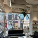 정자일로232번길 이미지