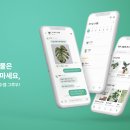 그루파트너스