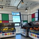 H-061 | 여수 가볼만한곳 여수 유월드 루지 테마파크 롤글라이더 후기