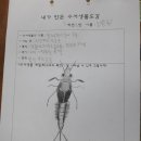 당동중학교 이미지