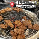 [야탑] 배밭갈비 분당 소 생갈비 돼지양념갈비 야탑 갈비 맛집