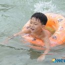 北어린이들 사이에서 `1박2일` `무한도전`보다 인기있는 남한 방송은? 이미지
