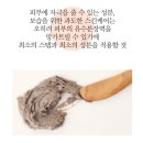 G2016 네이버블로그