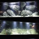 명인제약 사옥 이미지