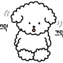 정통뼈다귀 이미지