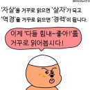 라라감자탕 이미지