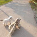 옥당소프트 이미지