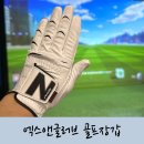엑스앤글러브 네이버블로그