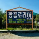 9월26일 토요일 저녁6시 팜플로리아 에서 불멍합니다 이미지