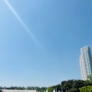 엘지 하우스분식