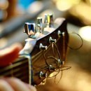 다솜음악학원 이미지