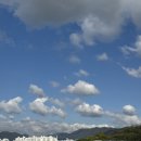 써니사이드업 ssupp 쌉 | 11월 가을 냄시〰️🍁🍂