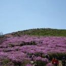 황매산 철쭉제 이미지