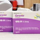 시청정약국 이미지