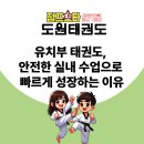 인지 태권도 | [도원동태권도] 유치부 태권도, 안전한 실내 수업으로 빠르게 성장하는 이유