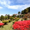 브론즈펜션 이미지