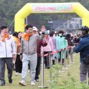 남포항 다목적광장 이미지