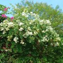 헬씨라이프 이미지