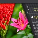 코리아파크 이미지