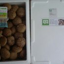 선우농장2 이미지