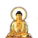 양*경