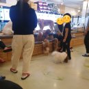 에이펫(A-PET) 이미지