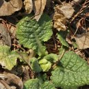 원미구 부일로 509 이미지