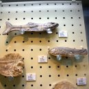 영덕어촌민속전시관 이미지