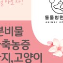 동물병원예지 이미지