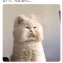 두드리네 이미지