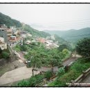 대머리민박 이미지