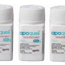 나은약국 이미지