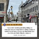 파란꿈 | [캐나다 패키지 여행]'파란여행'의 퀘벡 2박3일 여행후기 (2026.1.4)