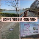 맛있는 푸드 한국철도공사 전북본부 | [전북/군산] 군산 여행 가볼만한 곳 "은파호수공원" 벚꽃 없는 벚꽃야시장 보고 온 후기