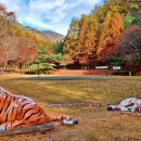 봉학골산림욕장 이미지