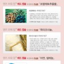 맨즈
