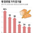 2025년 10월 10일 신문을 통 해 알게 된 것들 이미지