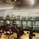 휘트니스 와이 이미지