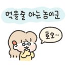봉구스밥버거서강대점