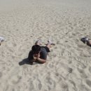 Team Shark 이미지