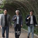타파 이미지