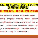 (37강)공부 잘하는 학생들이 단어 외우는 방법, 340개 어원으로 영어 단어 암기 끝내기 이미지