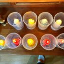 부적초등학교 이미지