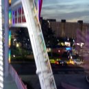 다뽑아가라 이미지