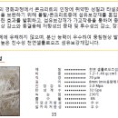 섬유보강재(와이어메시 대체용) 무근콘크리트 첨가재 이미지