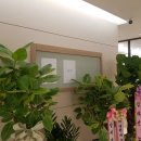 소담재한의원 이미지